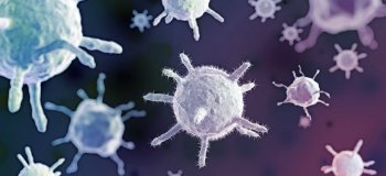 Importance of viruses in food. Viral detection methods (ISO 15216 standard)